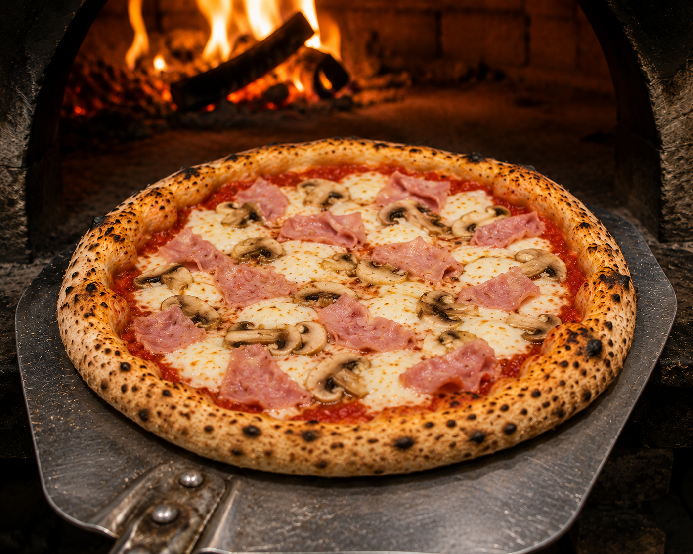 Pizza Regina — tomate, jambon, champignons, mozza